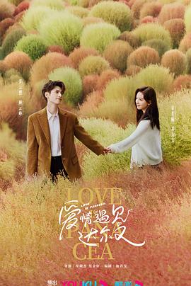 生物网站优化什么公司好